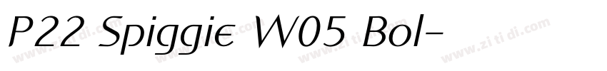 P22 Spiggie W05 Bol字体转换